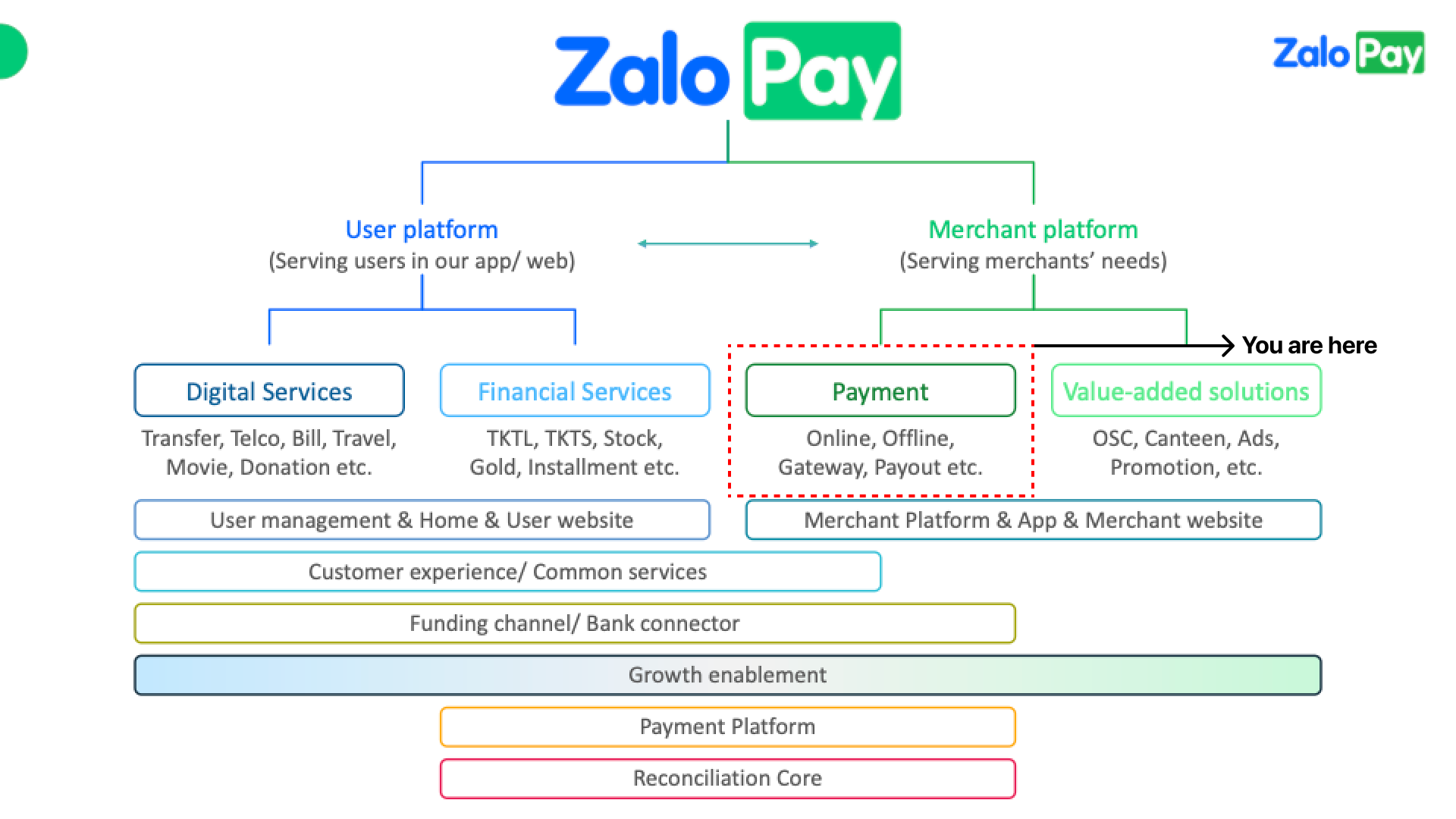 Technical diagram of product organization